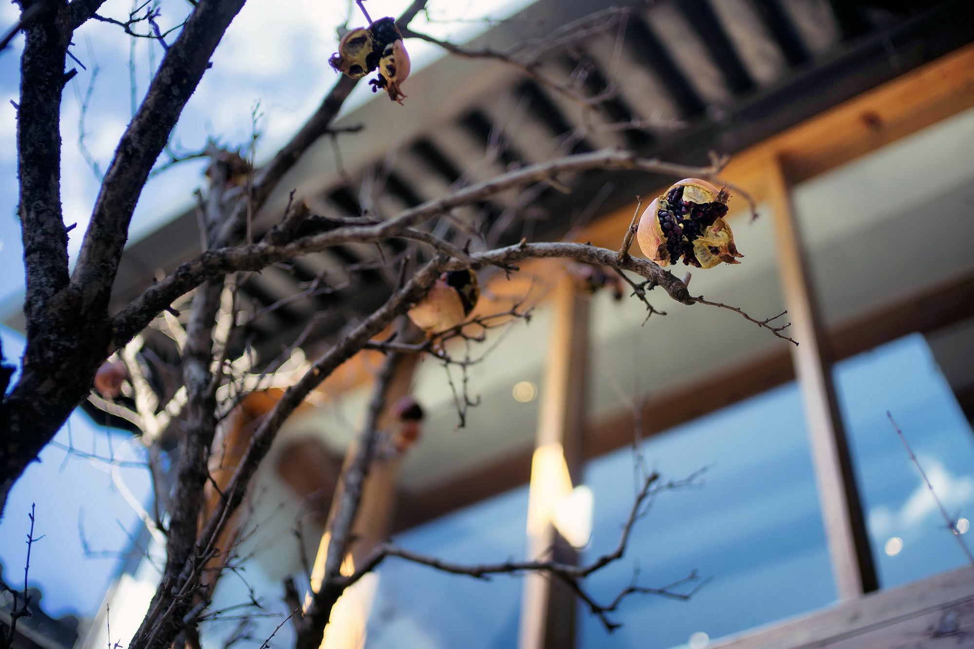 Woobay Hotel Lijiang (Yunnan) Exterior foto